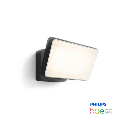 Philips Hue Welcome | 30W Outdoor Floodlight RGBW