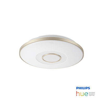 Muscari ceiling light clearance