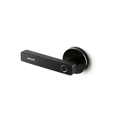 Auslock | Smart Liver Handle | Novo Series | Black 