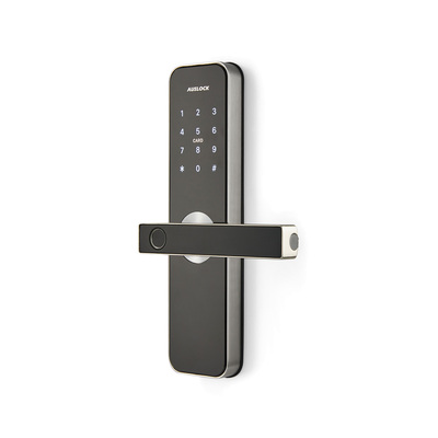 Auslock | Smart Liver Lock | Handy Series | Medium | Fingerprint Version 