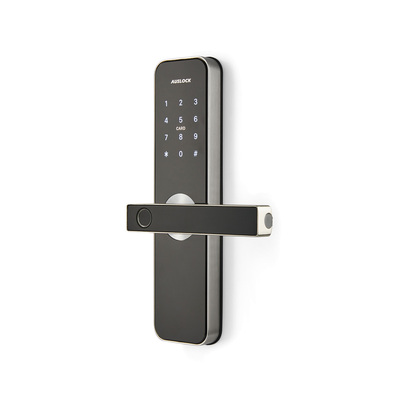 Auslock | Smart Liver Lock | Handy Series | Medium | Fingerprint Version 